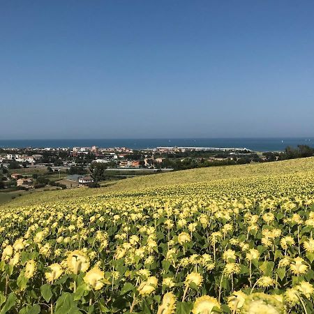 Agricampeggio Abbruzzetti Marina Palmense Exteriér fotografie