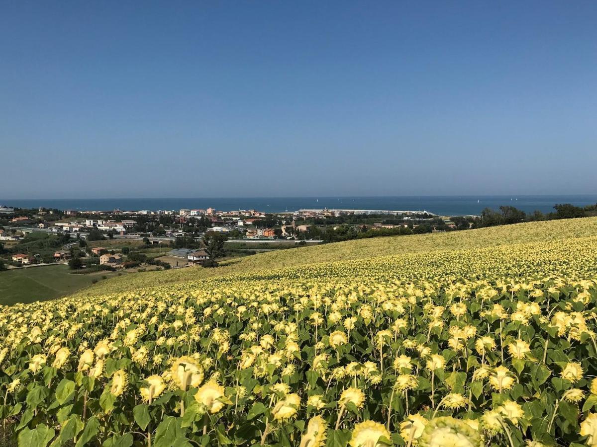 Agricampeggio Abbruzzetti Marina Palmense Exteriér fotografie